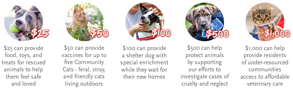 Symbolic gift levels and impacts donors can make for animals