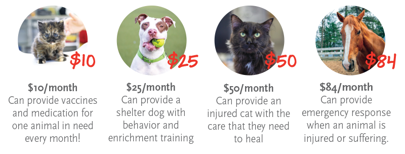 Images of gift levels and impacts for animals