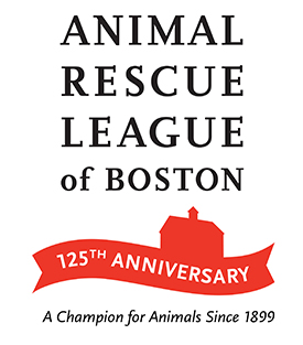 special 125th anniversary ARL logo