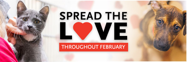 Images of a cat and a dog with words "Spread the Love&q